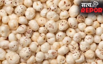 Makhana Dishes: पेट रहेगा ठंडा, गजब की फुर्ती…सिर्फ भूनकर नहीं गर्मी में इस तरह भी खाएं मखाना