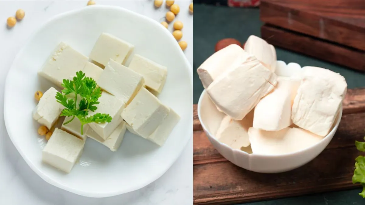Paneer vs Tofu: सेहत के लिए क्या है बेस्ट? - India TV Hindi