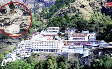 वैष्णो देवी मंदिर में आस्था से खिलवाड़… चढ़ावे की चांदी में 95% मिलावट; जांच में चौंकाने वाला खुलासा