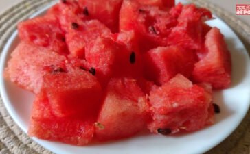 किडनी के लिए फायदेमंद या नुकसानदायक है तरबूज? एक्सपर्ट से जानें