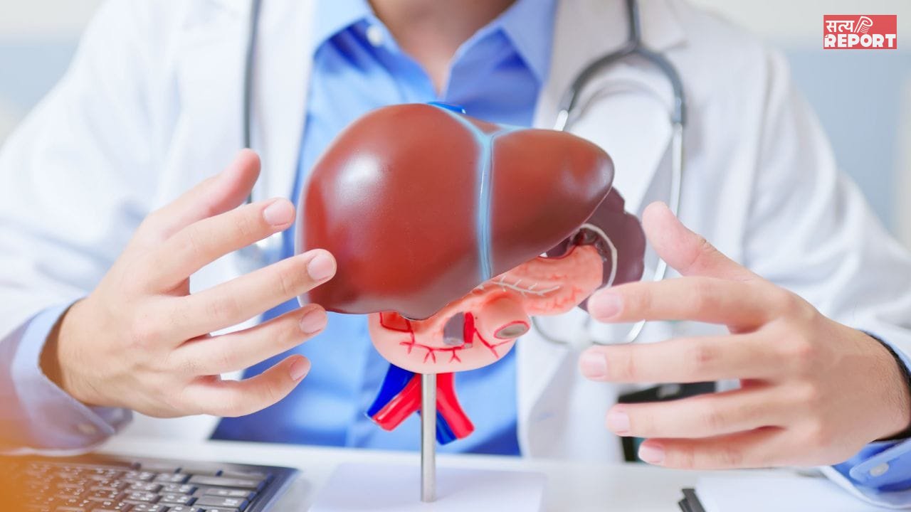 World Liver Day: एनर्जी ड्रिंक लिवर को कर रहीं खराब, एक्सपर्ट्स ने किया अलर्ट