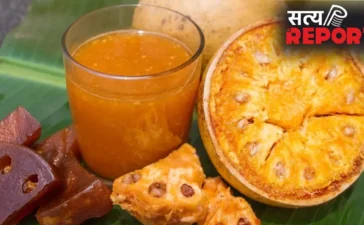 Bael Benefits : स्किन ग्लो और बेहतर डाइजेशन चाहिए? आज से शुरू करें बेल का सेवन