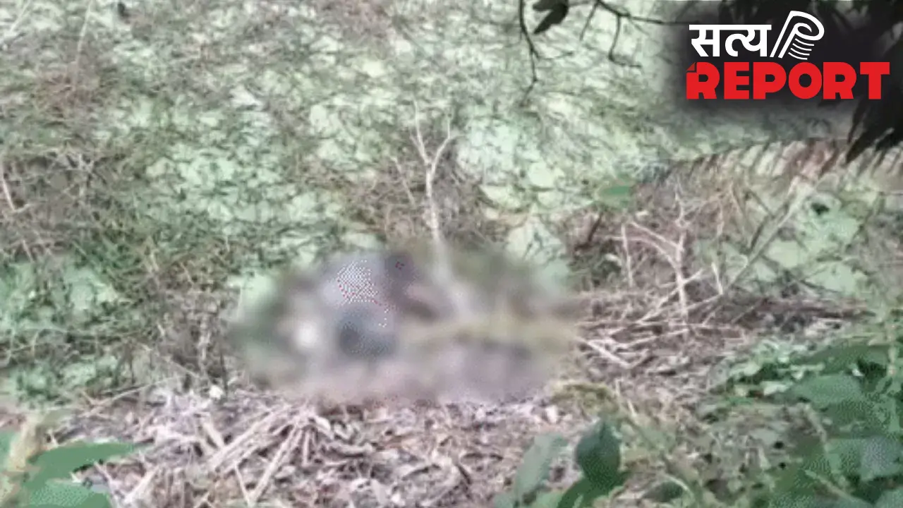 अकोला में मिले अज्ञात कंकाल की हुई पहचान, वाशिम निवासी निकला मृतक
