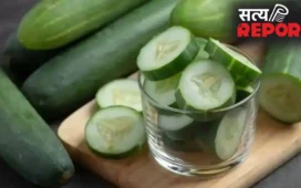 Cucumber Benefits: खीरा छीलकर खाना ज्यादा फायदेमंद या बिना छीले? जानिए क्या सही है तरीका