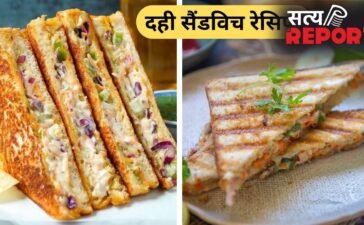 बच्चे रोजाना एक जैसा नाश्ता खाकर हो गए हैं बोर तो नाश्ते में दही से बनाएं सैंडविच, नोट करें 3 रेसिपी