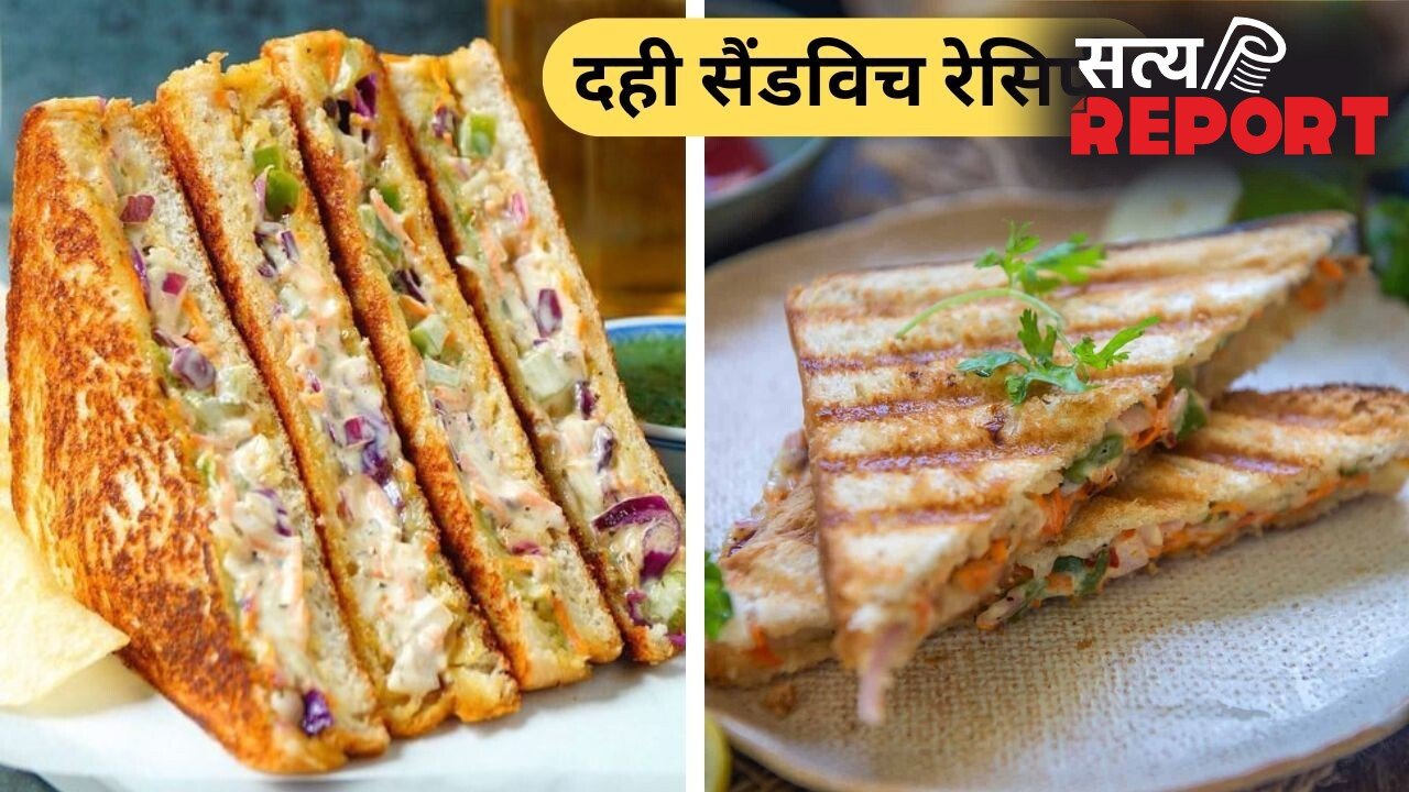 बच्चे रोजाना एक जैसा नाश्ता खाकर हो गए हैं बोर तो नाश्ते में दही से बनाएं सैंडविच, नोट करें 3 रेसिपी
