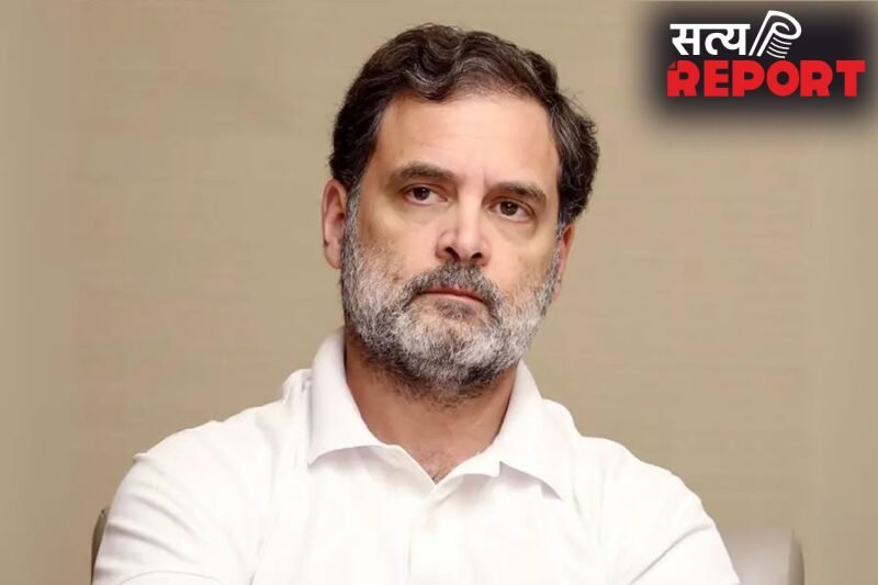 राहुल गांधी ने थलपति विजय से फोन पर की बातचीत, तमिलनाडु में जीत की दी बधाई
