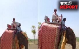 UP NEWS: घोड़ी के बजाय दूल्हा हाथी पर सवार, मेरठ की अनोखी बारात वायरल
