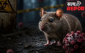 तेजी से फैल रहा हंतावायरस! क्रूज शिप पर 3 की मौत के बाद 12 देशों में अलर्ट, जानें WHO ने क्या कहा?
