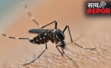 National Dengue Day: डेंगू से बचने के लिए लगाते हैं अगरबत्ती, तो हो जाइए सावधान! हो सकती है सांस संबंधी बीमारी
