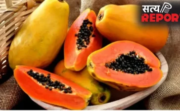 Papaya Benefits: पपीता के फ़ायदे जानकर हो जाएंगे हैरान! हड्डी ही नहीं बालों के लिए भी संजीवनी से कम नहीं