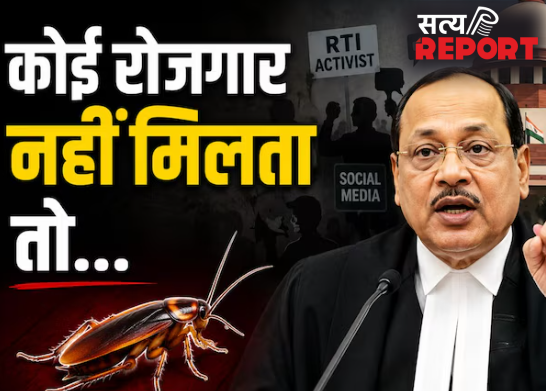 कुछ युवा कॉकरोच की तरह होते हैं…! सुप्रीम कोर्ट ने इतनी सख्त टिप्पणी किस मामले में की?