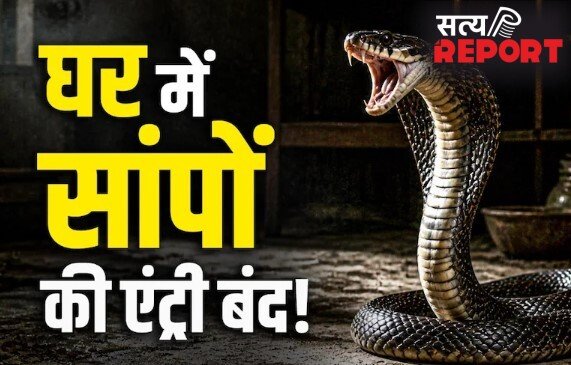 घर में सांपों की एंट्री रोकने के लिए कुछ तरीके