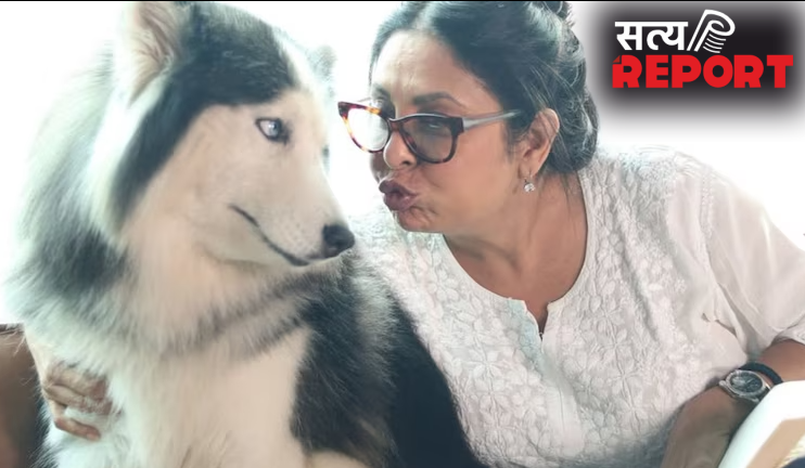 ‘बच्चे पैदा मत करो, कुत्ते पाल लो’, 2 बच्चों की मां शेफाली शाह, लड़कियों को दे डाली अनोखी सलाह, बयान वायरल