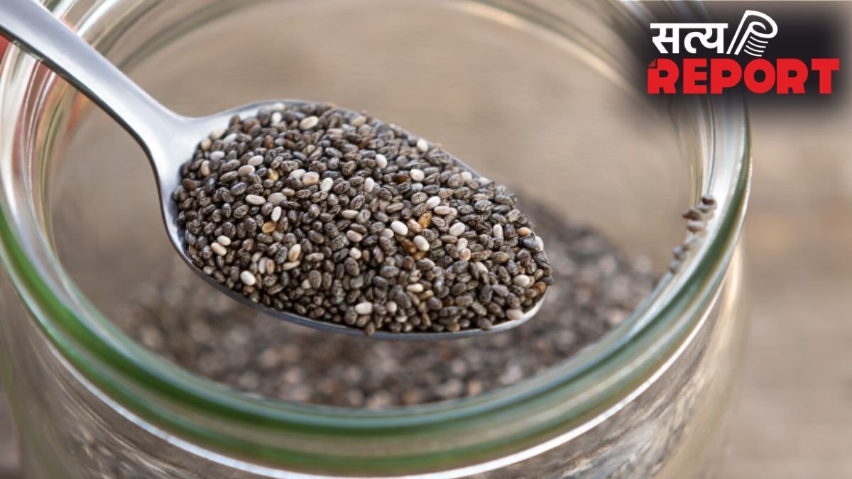 भिगोकर या भूनकर: भरपूर फायदा पाने के लिए कैसे खाना चाहिए चिया सीड्स?