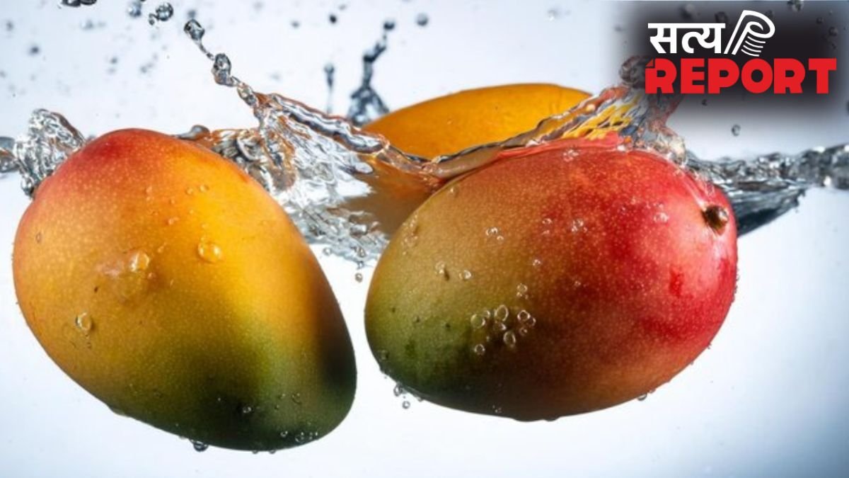 खाने से 30 मिनट पहले आम को पानी में क्यों भिगोकर रखना चाहिए? क्या है इसके पीछे की साइंटिफिक वजह