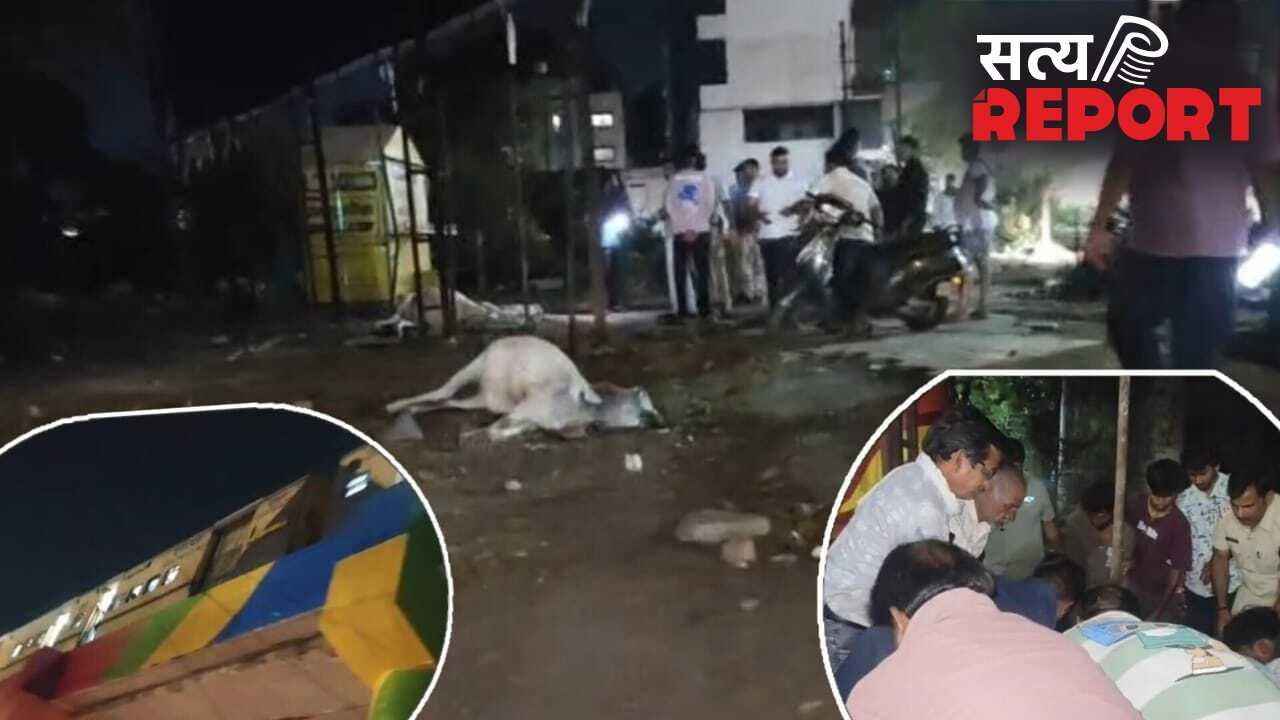 पुल से गुजर रही ट्रेन ने मारी 3 गायों को टक्कर, एक गाय जा गिरी नीचे खड़े युवक के ऊपर, फिर जो हुआ…