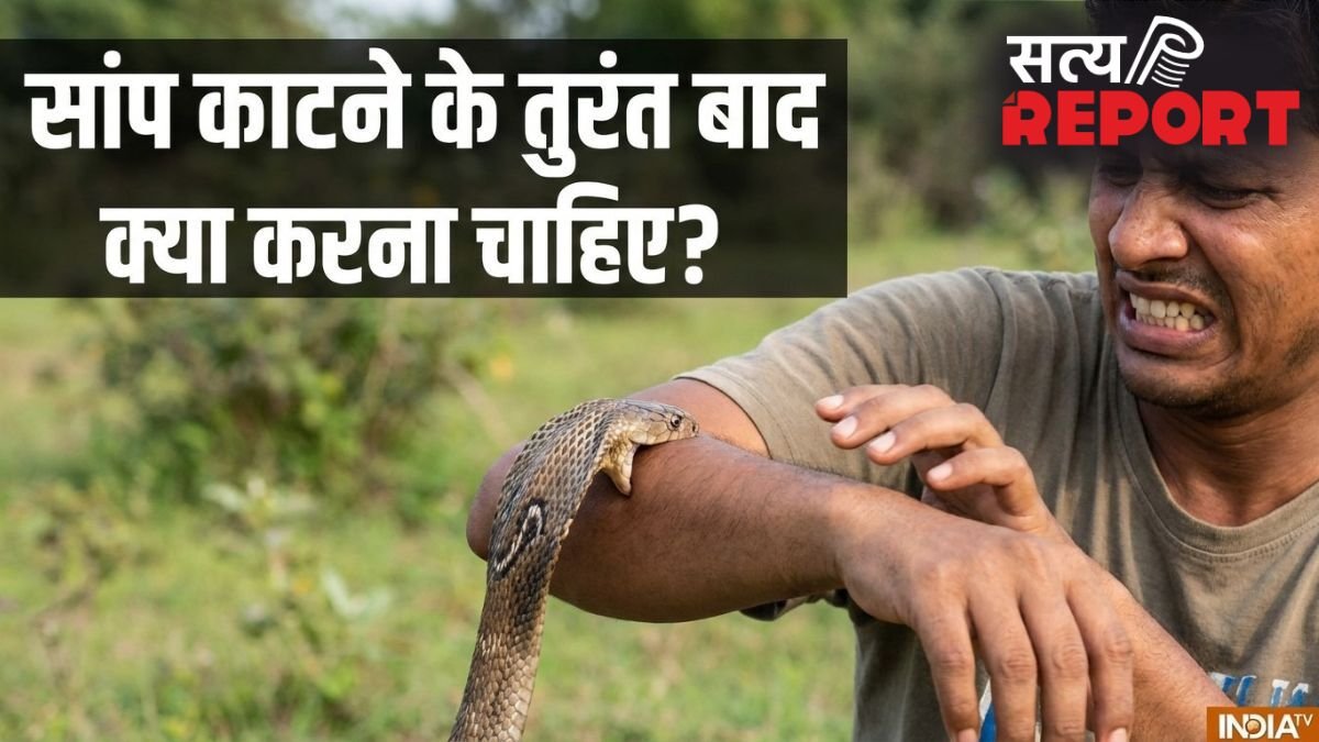 सांप काटने के तुरंत बाद क्या करना चाहिए? ये बातें बचा सकती है आपकी जान