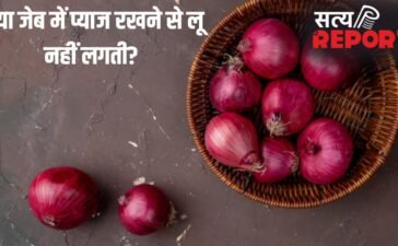 क्या जेब में प्याज रखने से लू नहीं लगती? जानें इसके पीछे की सच्चाई