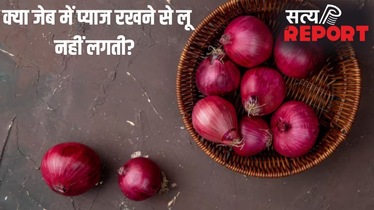 क्या जेब में प्याज रखने से लू नहीं लगती? जानें इसके पीछे की सच्चाई