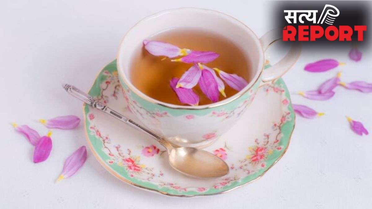 स्वास्थ लाभों से भरपूर है कचनार की चाय, रोजाना पीने से मिलेंगे ये फायदे