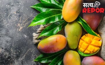 पहले के समय में आम को कैसे पकाया जाता था, इन देसी तरीकों से प्राकृतिक रूप से पकते थे Mango