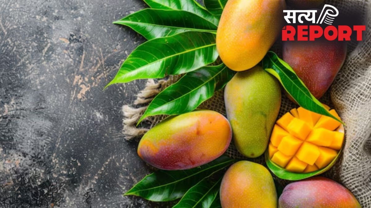 पहले के समय में आम को कैसे पकाया जाता था, इन देसी तरीकों से प्राकृतिक रूप से पकते थे Mango