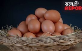 गर्मियों में अंडे कितने दिनों में खराब हो जाते हैं? जान लें फ्रिज के बाहर स्टोर करने का तरीका