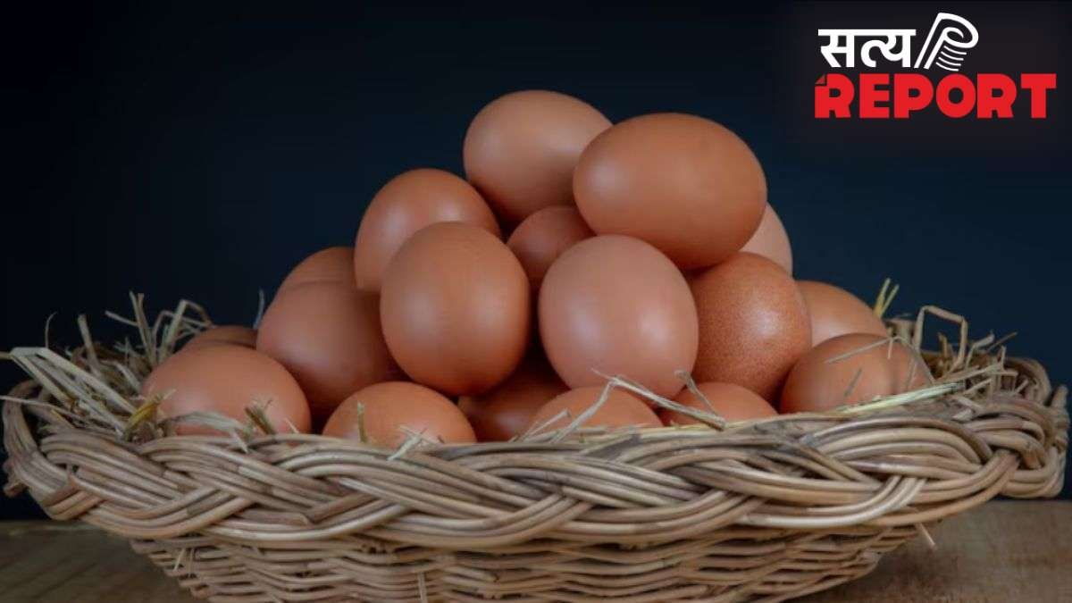 गर्मियों में अंडे कितने दिनों में खराब हो जाते हैं? जान लें फ्रिज के बाहर स्टोर करने का तरीका
