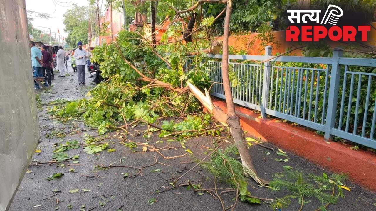 Bihar Weather: पेड़ गिरे, गाड़ियां क्षतिग्रस्त और 8 मौतें… तेज आंधी-बारिश से बिहार बेहाल, पटना से वैशाली तक तबाही