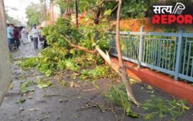 Bihar Weather: पेड़ गिरे, गाड़ियां चकनाचूर और 8 मौतों… तेज आंधी-बारिश से बिहार बेहाल, पटना से वैशाली तक तबाही