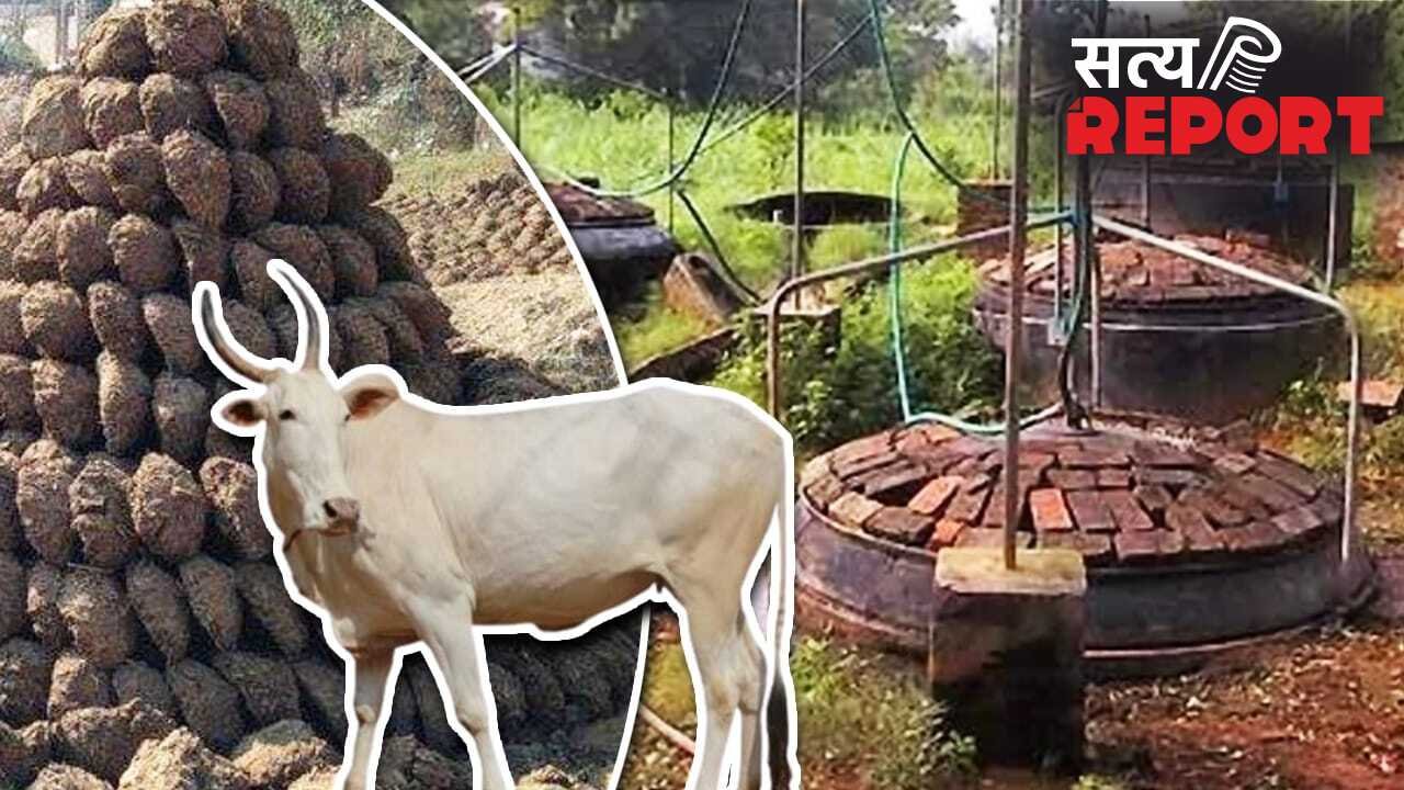 गौमाता करेंगी बेड़ा पार, ईरान-अमेरिका युद्ध का ऐसे नहीं होने देंगी भारत पर असर