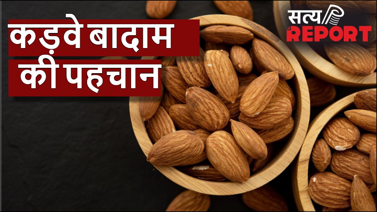 कड़वे बादाम की पहचान कैसे करें, स्वाद के अलावा बनावट में होता है अंतर, खरीदते वक्त ध्यान रखें ये टिप्स