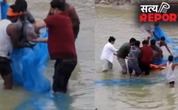UP News: 13 घंटे के रेस्क्यू के बाद मिली वन विभाग और TSA की टीम को सफलता, डॉल्फिन को सुरक्षित निकाला बाहर…