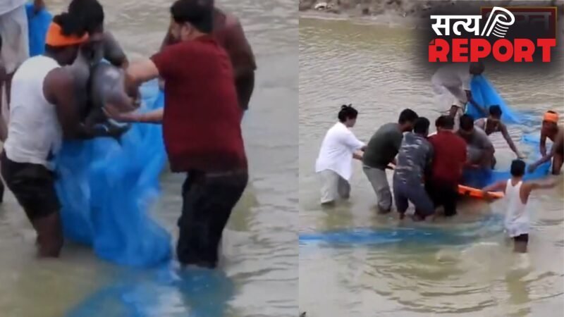 UP News: 13 घंटे के रेस्क्यू के बाद मिली वन विभाग और TSA की टीम को सफलता, डॉल्फिन को सुरक्षित निकाला बाहर…