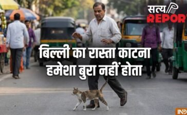 बिल्ली का रास्ता काटना हमेशा अशुभ नहीं! अगर इस दिशा में जाए बिल्ली, तो समझें खुलने वाली है आपकी किस्मत