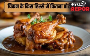 थाई, विंग्स या ब्रेस्ट…चिकन के किस हिस्से में होता है सबसे ज्यादा प्रोटीन, जानें