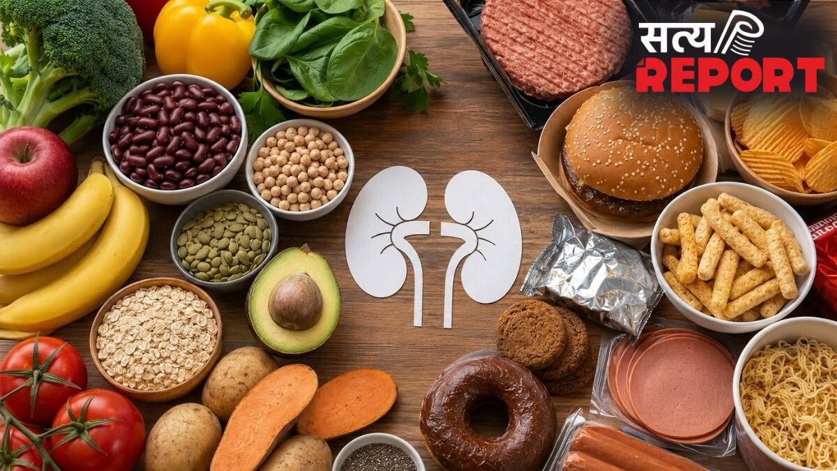 किडनी के दुश्मन हैं ये 5 काम! डायटीशियन ने 10 साल के अनुभव से किया खुलासा; कहीं आप भी तो नहीं कर रहे ये गलतियां?