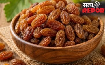 पाचन सुधारने और पेट की गर्मी शांत करने में मददगार है मुनक्का; आयुर्वेदिक डॉक्टर से जानिए इसके फायदे और तरीका पाचन सुधारने और पेट की गर्मी शांत करने में मददगार है मुनक्का; आयुर्वेदिक डॉक्टर से जानिए इसके फायदे और तरीका