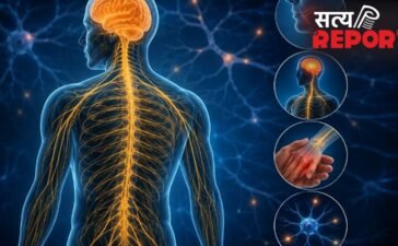 क्या आपकी नसें कमजोर हो रही हैं? न्यूरोलॉजिस्ट से जानिए नर्वस सिस्टम की सेहत जांचने का 1 मिनट का टेस्ट