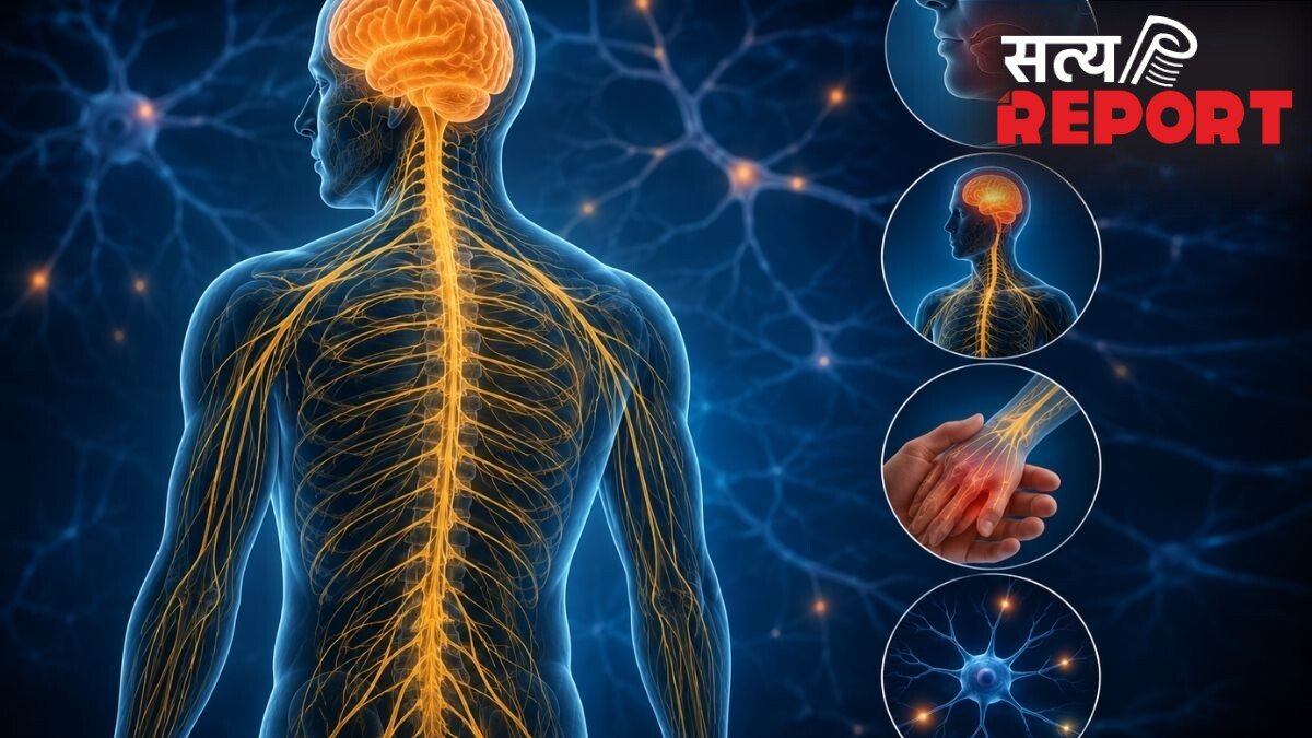 क्या आपकी नसें कमजोर हो रही हैं? न्यूरोलॉजिस्ट से जानिए नर्वस सिस्टम की सेहत जांचने का 1 मिनट का टेस्ट