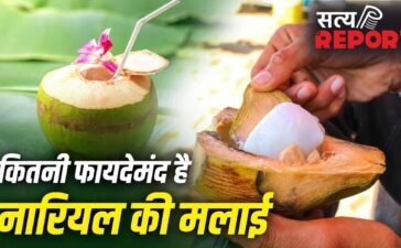 Coconut Malai Nutrients: क्या नारियल की मलाई भी देती है शरीर को फायदे? जानें इसके पोषक तत्व