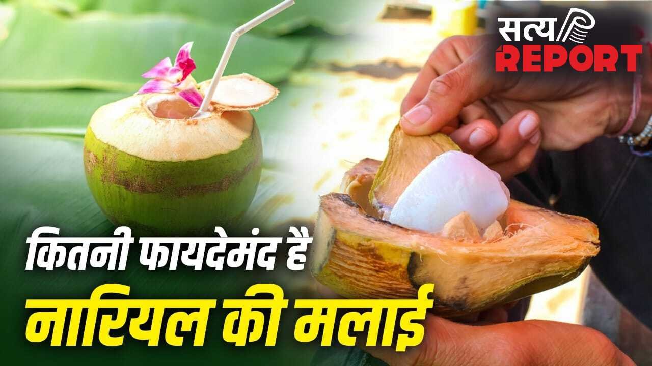 Coconut Malai Nutrients: क्या नारियल की मलाई भी देती है शरीर को फायदे? जानें इसके पोषक तत्व