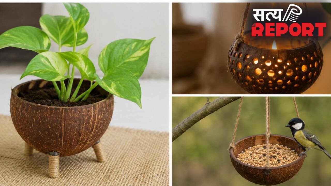 नारियल के खोल से बनाएं ये 5 खूबसूरत चीजें, घर के कोने को सजाने में आएंगी काम