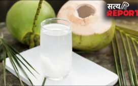 खाने से कितनी देर पहले और कितनी देर बाद पीना चाहिए नारियल पानी?
