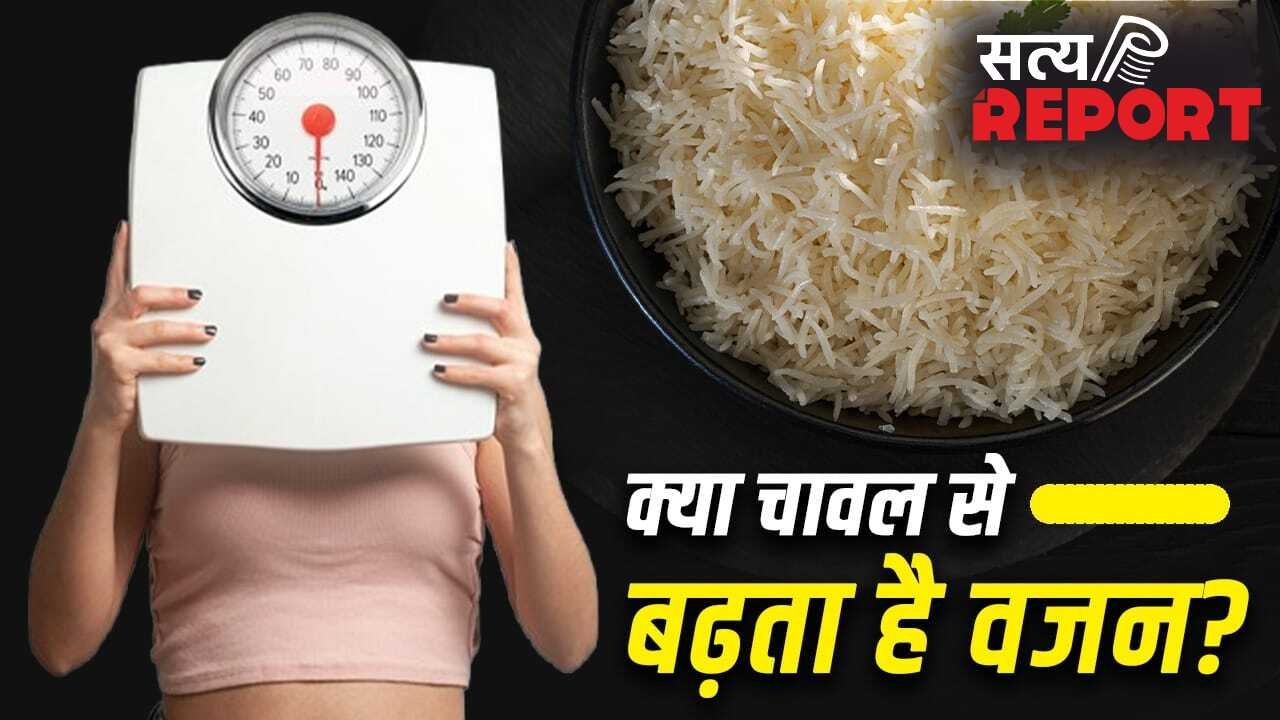 Weight Gain Problem: क्या रोजाना चावल खाने से वजन बढ़ता है? एक्सपर्ट से जानें पूरा सच
