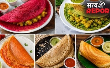 नाश्ते में ट्राई कर सकते हैं ये 5 तरह के डोसा, बच्चों से लेकर बड़ों तक को आएगा पसंद नाश्ते में ट्राई कर सकते हैं ये 5 तरह के डोसा, बच्चों से लेकर बड़ों तक को आएगा पसंद