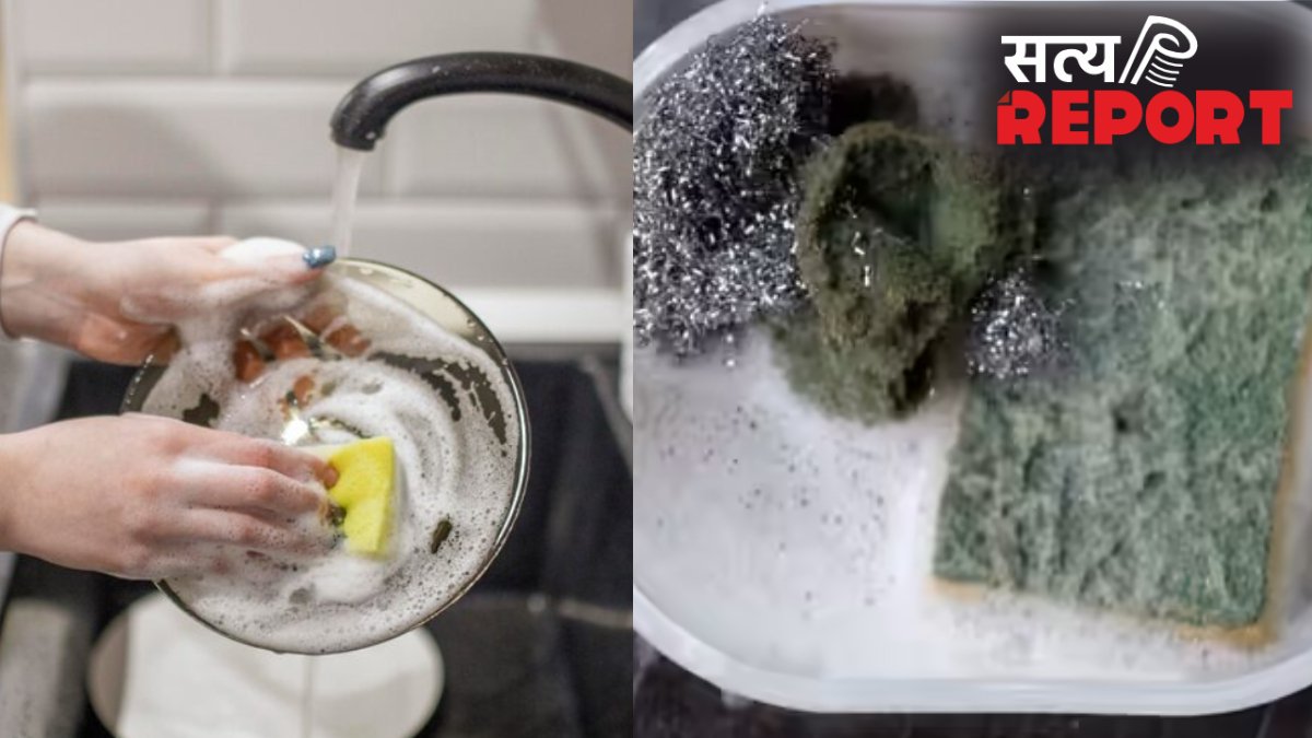 बर्तन मांजने वाला स्पंज कितने दिन में बदल देना चाहिए, छिपे हुए लाखों बैक्टीरिया, बना सकते हैं बीमार