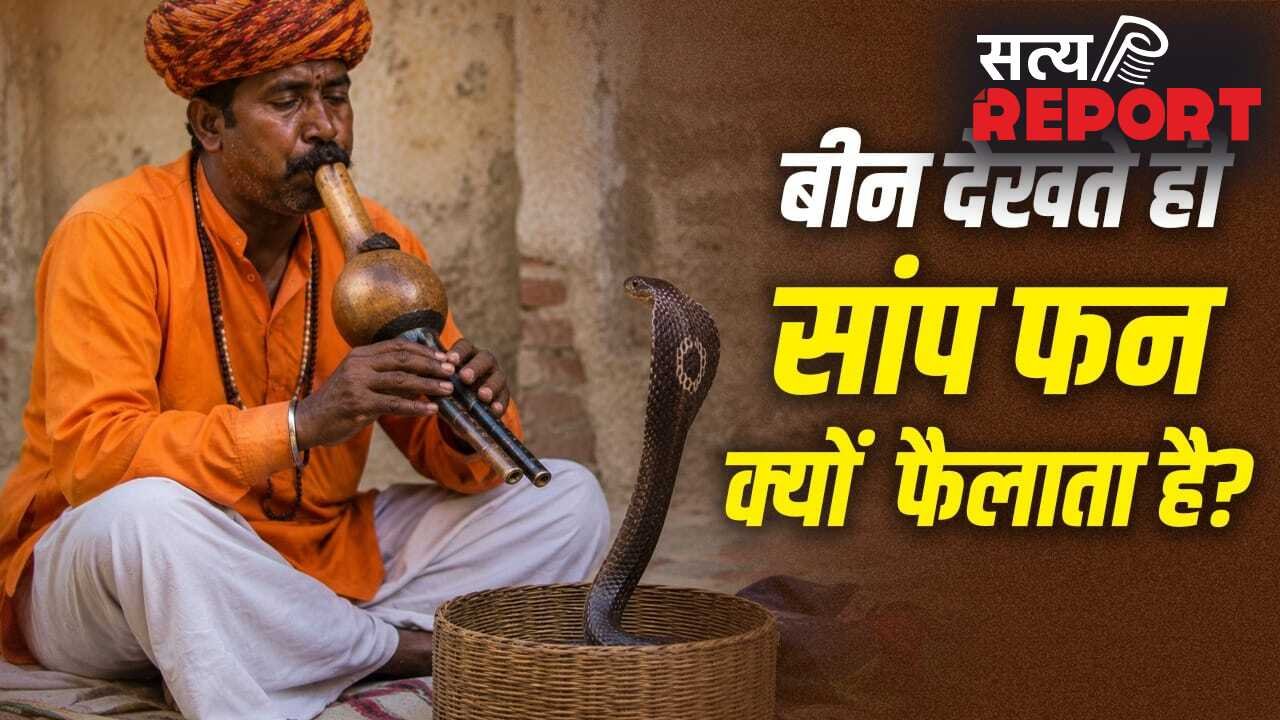 Snake Charmer Myths: क्या सपेरा बीन की आवाज से सांप को मदहोश कर देता है? यहां समझें पूरा सच