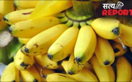 केला खाते वक्त लोग करते हैं ये 2 बड़ी गलतियां, नहीं मिल पाता भरपूर फायदा, जानिए केले खाने का सही तरीका